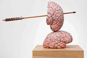 the brain as a heart cover